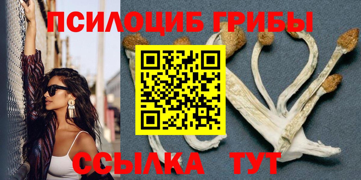 Псилоцибиновые грибы Psilocybe  Вход с VPN  Губкинский 